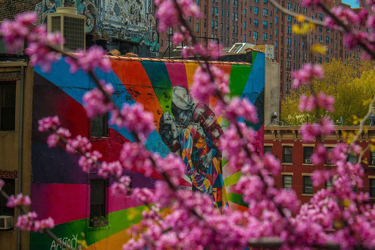 art shallow focus photography of multicolored mural collage